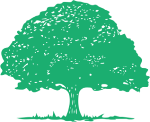 Image of an alternate logo for Asbury Park Tree Service, featuring a large green tree in the center of the image against a black background. The tree is drawn in a simplified style, with no additional text or images.