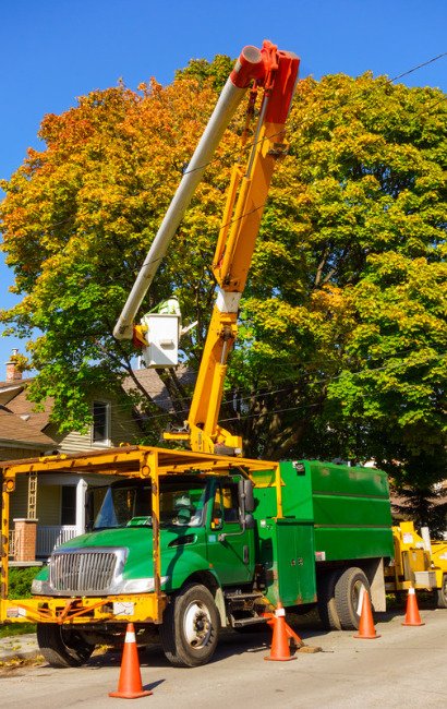 A man in a yellow crane with a chainsaw is trimming a tall tree with green leaves in Neptune Township, NJ. The crane has a green truck with a large arm extended to reach the tree.