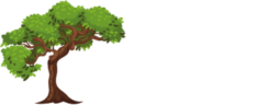 Image of a logo for Asbury Park Tree Service, featuring a cartoon-style brown and green tree on the left side of the image. On the right side, the text "Asbury Park Tree Service" is written in white letters against a transparent background