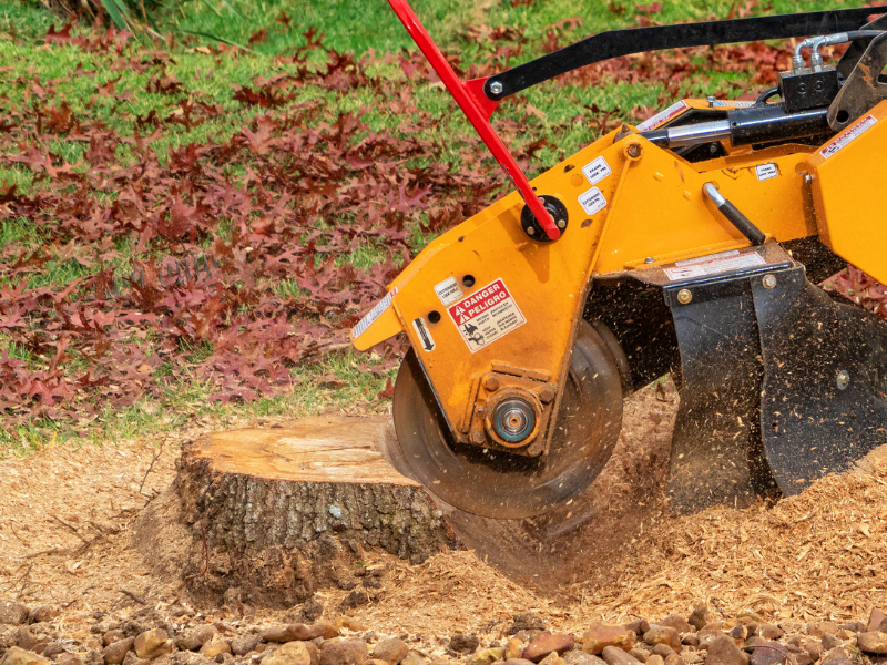 Machine Grinding Away a Stump - Stump Grinding Asbury Park, NJ.