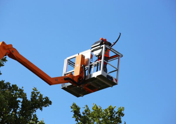 Image of a man in an orange and white crane trimming a tree in Asbury Park, NJ. The crane is extended towards the tree with the man using a chainsaw to trim the branches
